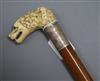 A carved ivory dog's head handled cane                                                                                                 