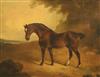 Early 19th century English School Brown horse in a landscape 18 x 23.25in.                                                             