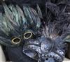A collection of feather masks, a cape / collar etc.                                                                                    