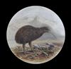 A pair New Zealand related painted opaque glass plaques 11.5in.                                                                        