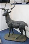 A large bronzed metal model of a standing stag H.154cm                                                                                 