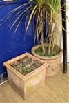 Two large terracotta planters, one square, the other circular W.45 and 53cm                                                            