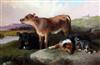 George W. Horlor (1823-1895) oil on canvas Calves and sheepdogs                                                                        