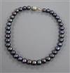 A moder tahitian cultured pearl necklace, with white metal clasp, 41.5cm.                                                              