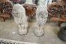 A pair of reconstituted stone seated lion garden ornaments, height 50cm                                                                                                                                                     