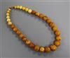 A single strand graduated amber bead necklace, gross weight 104 grams, 56cm.                                                           