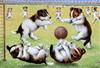 Louis Wain (1860-1939) Terrier puppies playing football 7 x 10in., unframed                                                            