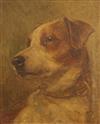 Richard S. Moseley (1843-1914) Portraits of wire-haired terriers - 'Railway Jack' and 'Brandy' 12 x 10in.                              