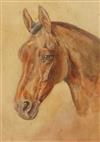 Victorian School, watercolour, study of a horse's head, unsigned, 34 x 24cm                                                            