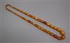 A single strand graduated oval amber bead necklace, gross weight 71 grams, 74cm.                                                       