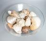 A collection of seashells, in a glass cream pail, 36cm diameter                                                                                                                                                             