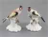 A near pair of Derby figures of goldfinches, c.1765-70, h. 6.3 and 6.5cm, one restored                                                 