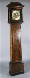 Sam Macham of London, A William and Mary mulberry cased eight-day longcase clock, 7ft. 2in. (plinth altered, parts replaced)           