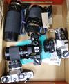 Three Olympus SLR cameras and two telephoto lenses                                                                                     