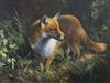 § Frank Wootton (1911-1998) 'The Fox' 16 x 21in.                                                                                       