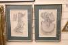 Two Victorian anatomical engravings from Halls Encyclopedia, 37 x 22cm                                                                                                                                                      