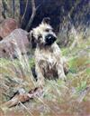 Arthur Wardle R.I., R.B.C. (1864-1949) Terrier beside a large bone 21 x 16.25in.                                                       