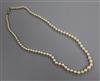 A single strand graduated cultured pearl necklace, with a 9ct gold clasp, 48cm.                                                        