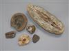 A group of fossils including a fish, ammonites, trilobites, etc. Largest 23cm                                                          