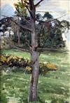 John William Waterhouse RA (1849-1917) Study of a tree 13.75 x 9.75in. Provenance: An Artist Studio Sale Christie's 1926 P.598         