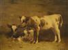 David Gauld (1866-1936) 'Calves' 18 x 24in.                                                                                            