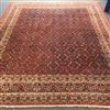 A red ground Iranian carpet 300 x 250cm                                                                                                