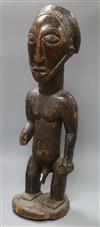 A West African carved wood figure of a standing man height 64cm                                                                        