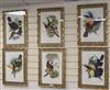 After Gould and Ritcher, set of 6 colour prints, Studies of Toucans, 48 x 32cm                                                         