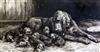 Herbert Thomas Dicksee (1862-1942) Bloodhound with litter of pups in stable 13.5 x 25in.                                               