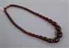 A single strand graduated simulated cherry amber necklace, gross 75 grams, 60cm.                                                       