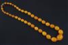 A single strand graduated oval amber bead necklace, 58cm.                                                                              