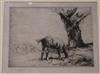 John Nicholson, dry point etching, horse grazing, signed in pencil with accompanying original presentation mount 15 x 20cm, unframed   