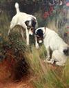 § Arthur Wardle R.I., R.B.C. (1864-1949) Fox terriers beside a rabbit hole 29.5 x 24.5in.                                              