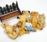 Seven English bears 1950's/60's including Chad Valley with label to Queen Mother, Sooty glove puppet and two Chilterns and a display bench                                                                                  