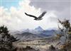 John Cyril Harrison (1898-1985) Martial Eagle, Umtali dry season 13 x 18.75in.                                                         