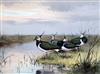 John Cyril Harrison (1898-1985) Lapwing by water's edge 11 x 15in.                                                                     