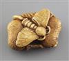 A Japanese ivory netsuke of a moth, Meiji period, w. 4cm                                                                               