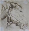 English School, c.1820 Study of a horses head 17 x 15cm                                                                                