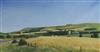 Michael Morris, oil on canvas, Summer evening Beddingham, signed, 40 x 76cm                                                            