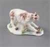 A rare Derby figure of a barking spaniel, c.1760-5, l. 8cm, minor losses                                                               