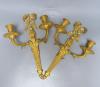 A pair of Louis XVI style ormolu two branch wall lights, height 39cm                                                                                                                                                        