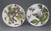 Two Chelsea 'Hans Sloane' botanical plates, c.1755, 23.5cm, faults and one restored
