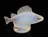 Perche Poisson/Perch. A glass mascot by René Lalique, introduced on 20/4/1929, No.1158, height 10cm.                                   