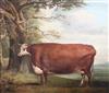 Thomas Weaver (1774-1843) Naive study of a prize cow in a landscape 25 x 30in.                                                         