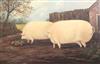 19th century English School Naive study of two pigs in a field 19 x 29in.                                                              