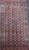 An antique Tekke Bokhara carpet, 11ft 11in by 7ft 6in.                                                                                 