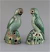 Two similar Chinese enamelled biscuit figures of parrots, Kangxi period, H. 21cm and 21.5cm                                            