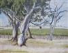 Bill Walls, oil on canvas, Lindeman's Vineyard Padthaway, South Australia, signed and dated 2000, 34 x 45cm.                           