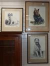 H. Bouvard, watercolour and 2 drawings, Portraits of a Yorkshire Terrier and two other dogs, signed and dated 1945,                    