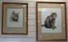 H. Bouvard, 2 watercolours, Studies of tabby cats, signed and dated 1945, largest 41 x 33cm                                            